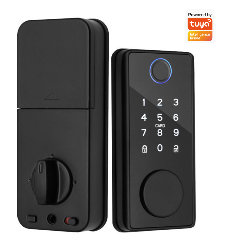 Support Tuya App Remote Contro - Smart Door Lock Wifi review and price
