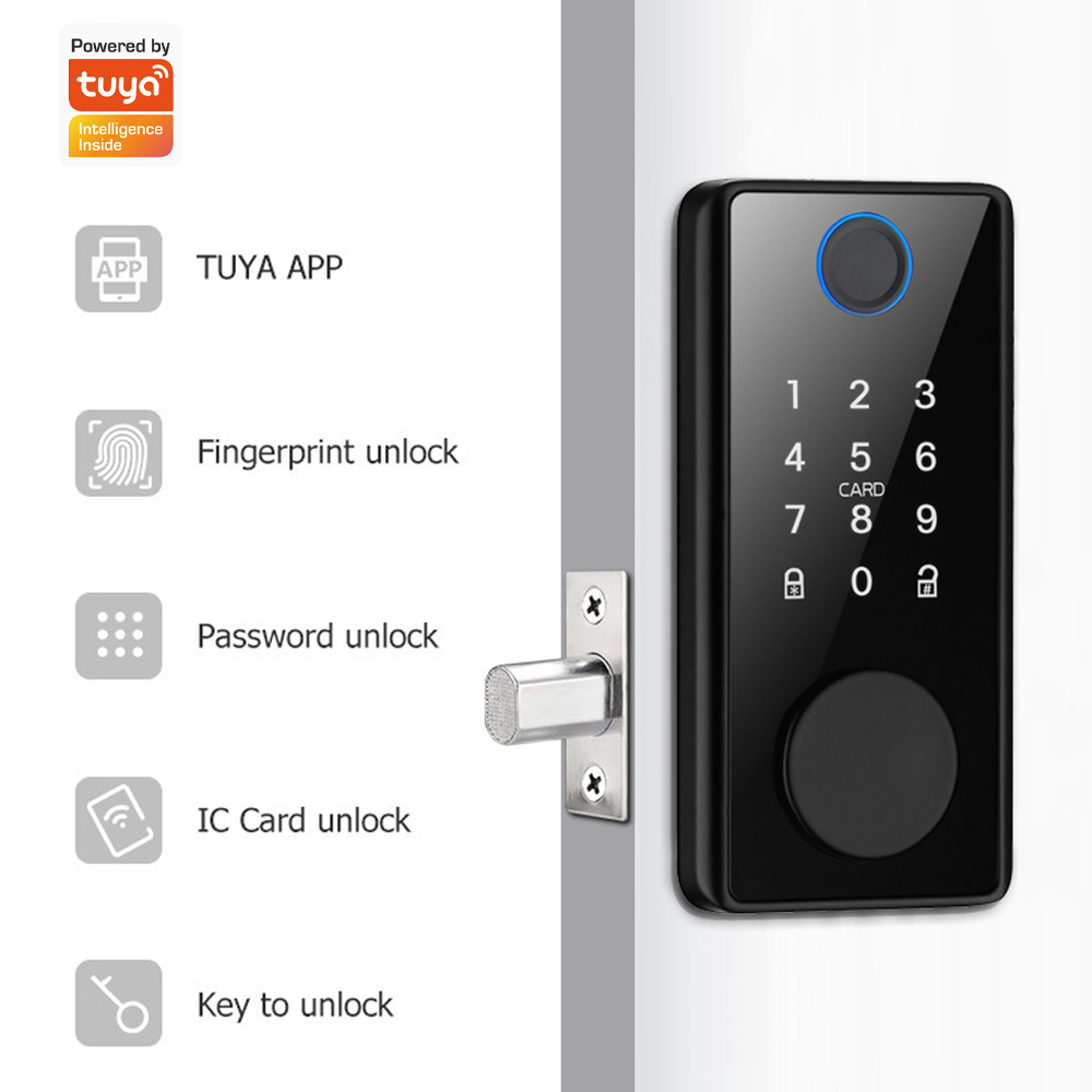 Support Tuya App Remote Contro - Smart Door Lock Wifi review and price